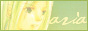 88x31 Button